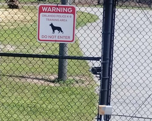 516800813_1258671142619367_4777729922716378301_n